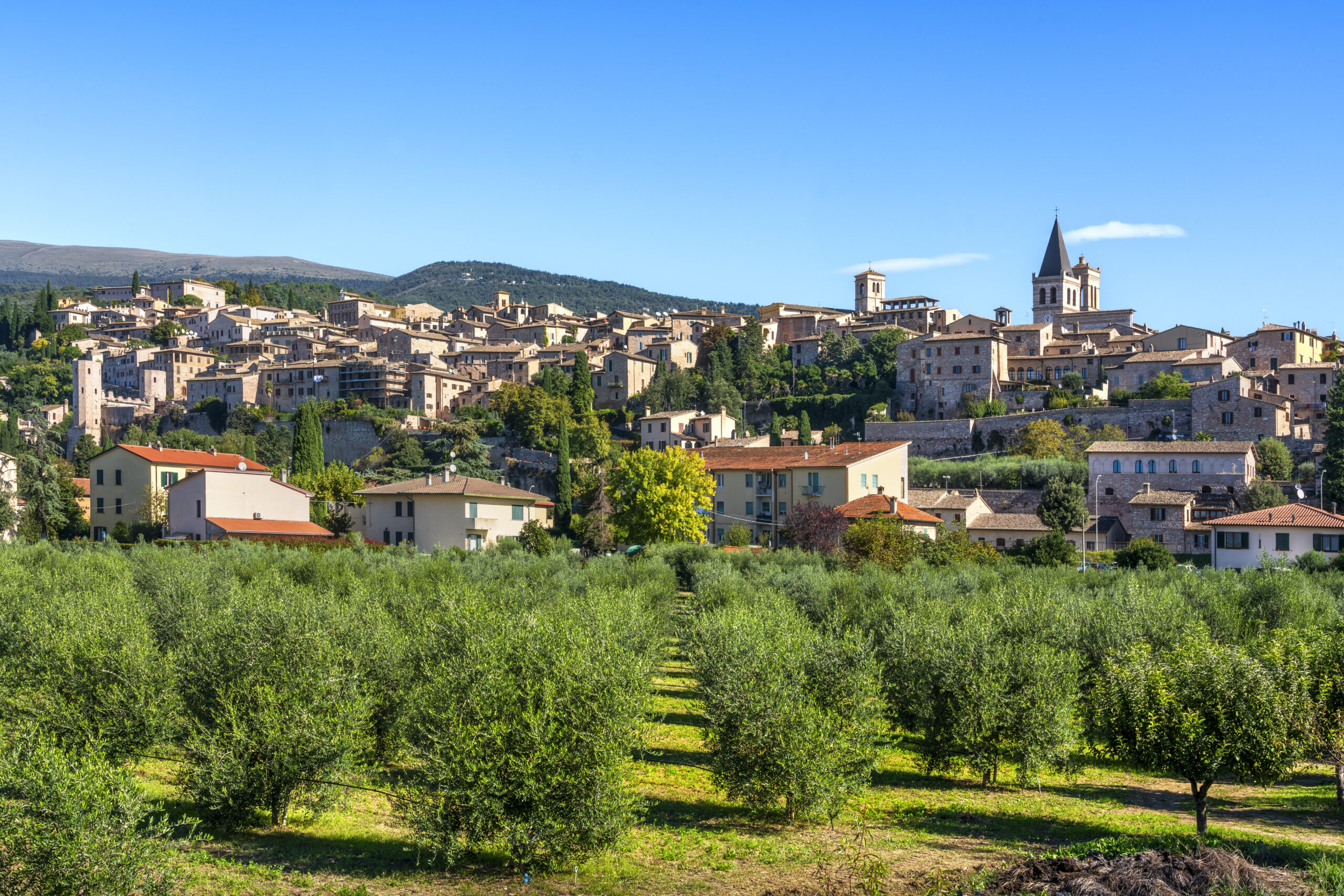 Village de caractère perché entouré d'oliveraies dans le Var — secteur d'investissement Terravogue